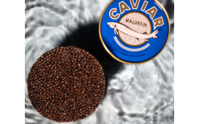 Caviar