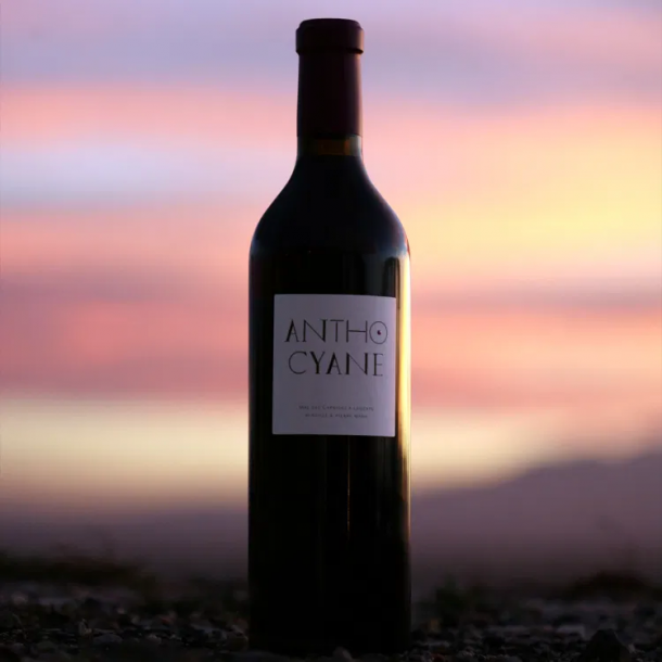 Mas des Caprices - Anthocyane - Fitou Rouge 2019 - 75 cl 1