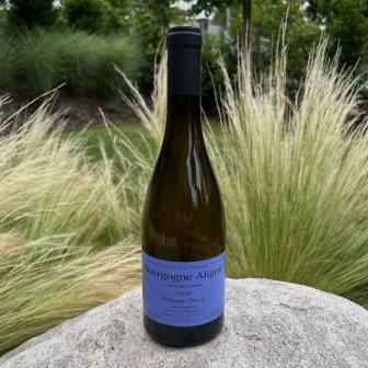 Sylvain Pataille - Bourgogne Aligoté - Champ Forey - 2020 - 75 cl