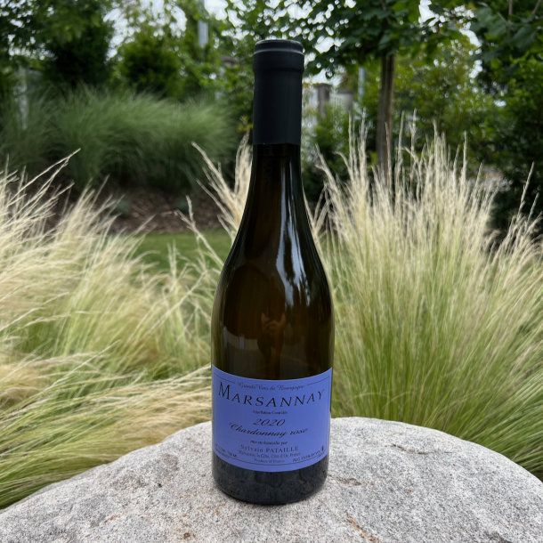 Sylvain Pataille - Marsannay Blanc - Chardonnay Rose - 2020 - 75 cl 1
