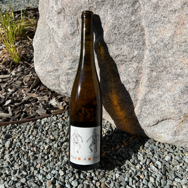 Vins Rietsch Mittelbergheim - Pas à Pas - 2021 - Blanc - Soléra de Savagnin Rose - 75 cl 1