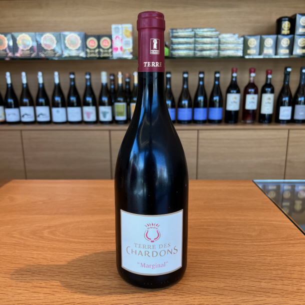 Terre des Chardons - Marginal 2022 - AOP Costière de Nîmes 75 cl 1