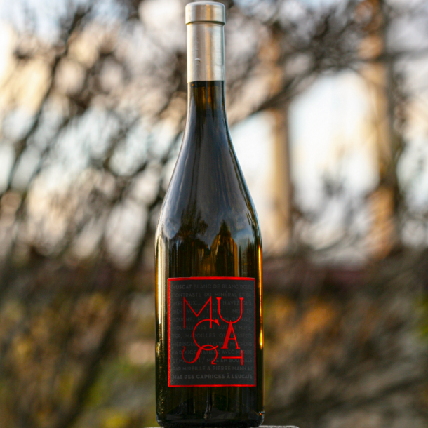 Mas des Caprices - Muscat de Rivesaltes Blanc 2021 - 75 cl 1