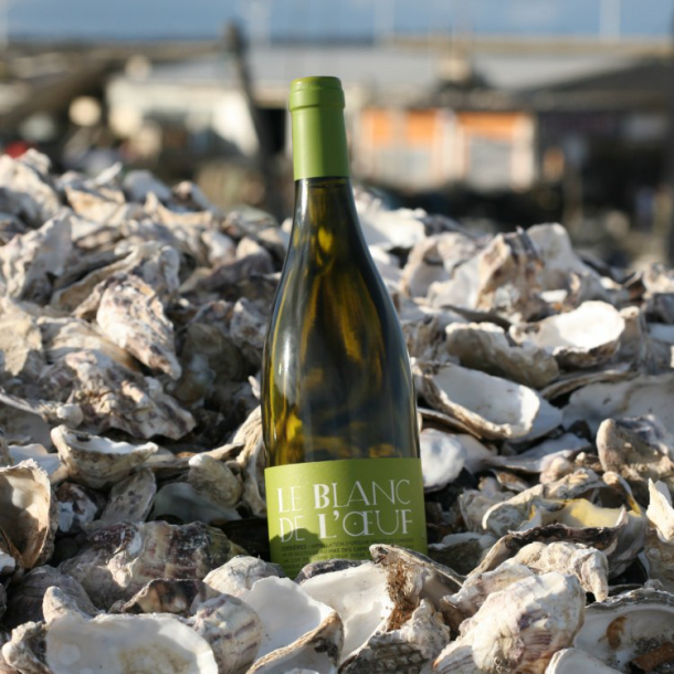 Mas des Caprices - Le Blanc de l' Oeuf - Corbières Blanc 2021 - 75 cl 1