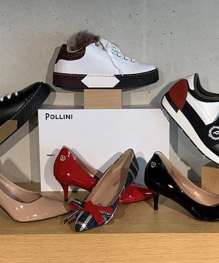 Illustration Pollini